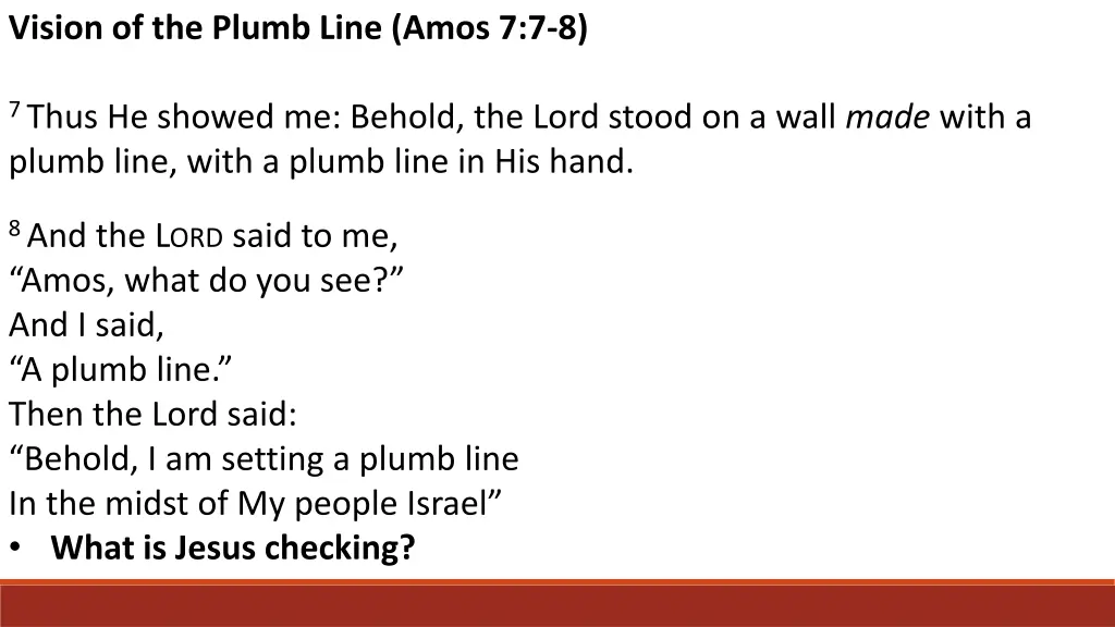 vision of the plumb line amos 7 7 8