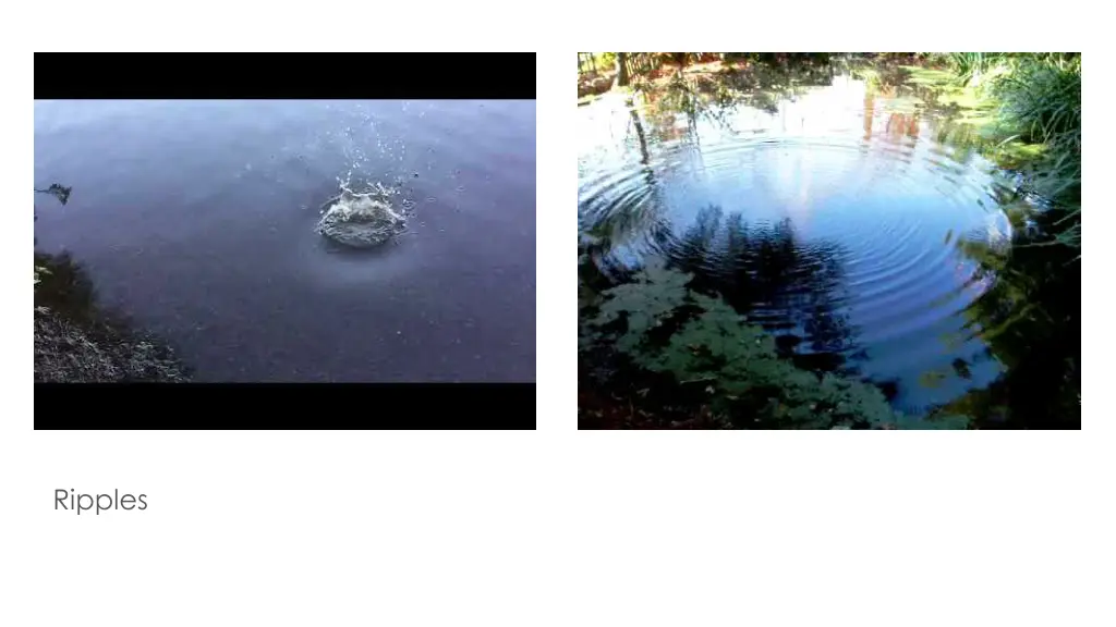 slow motion throwing a rock in water big ripples