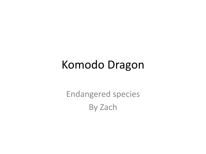 komodo dragon
