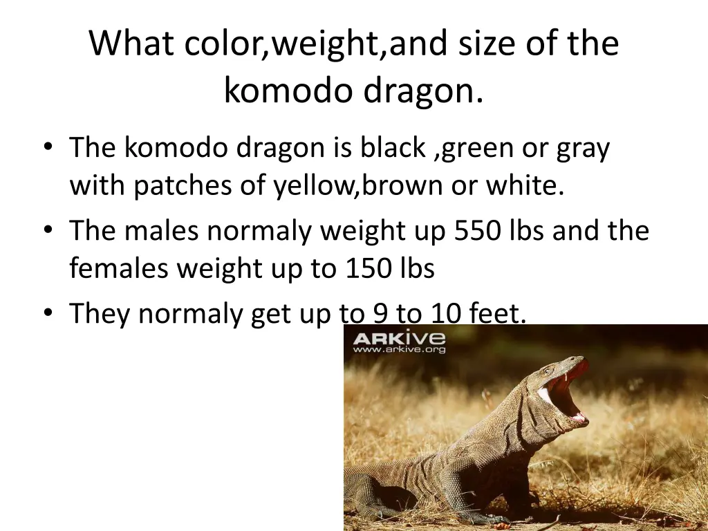 what color weight and size of the komodo dragon