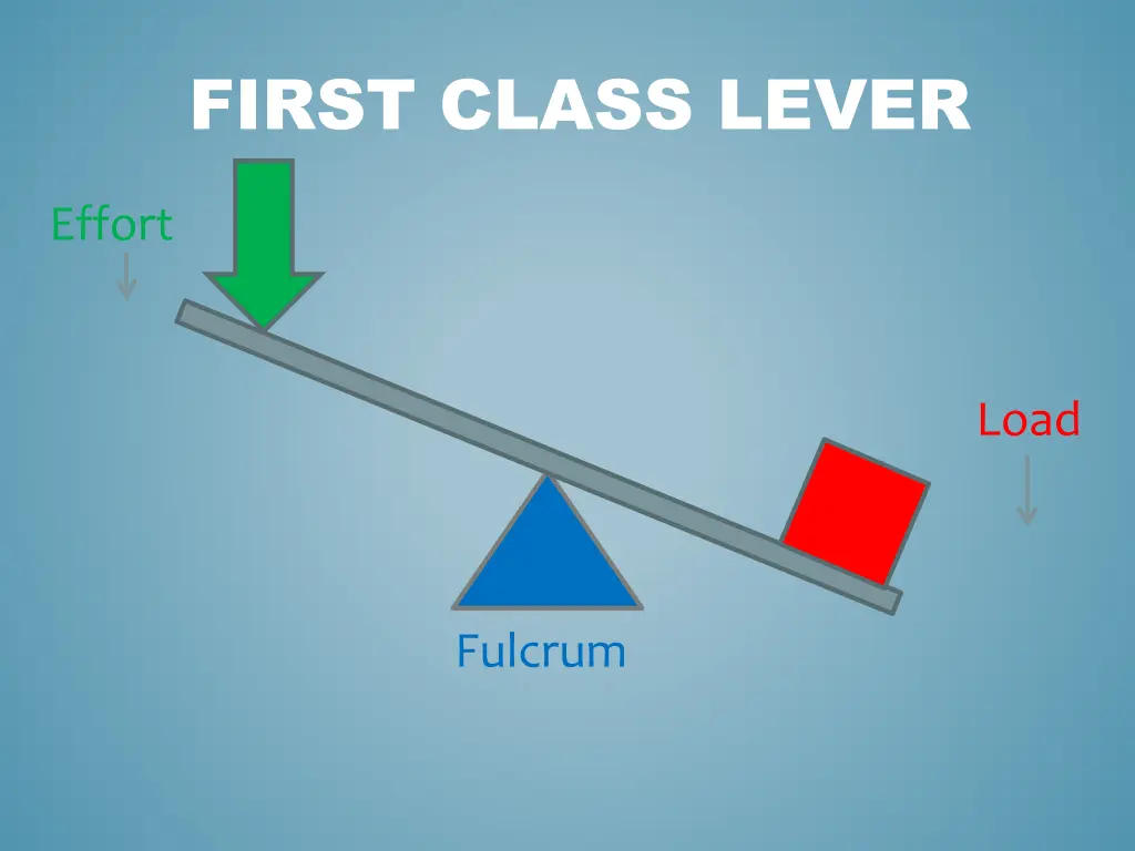 first class lever