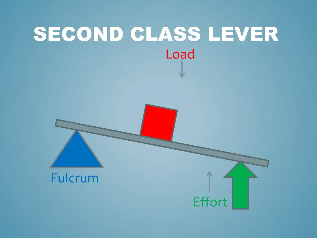 second class lever