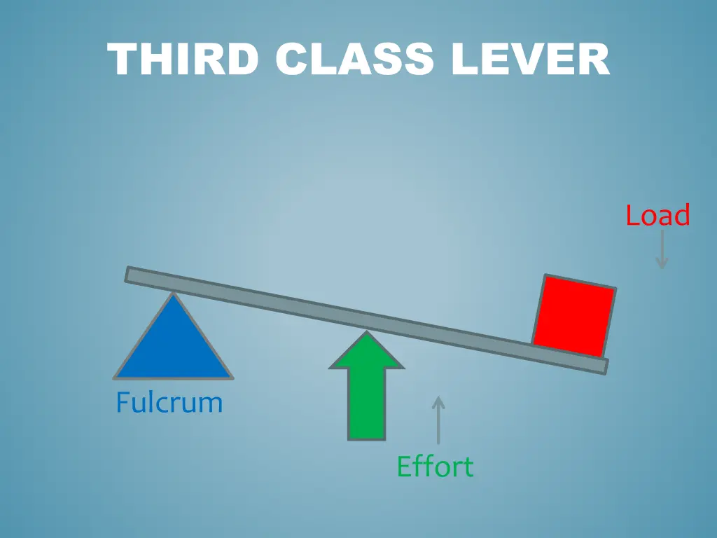 third class lever