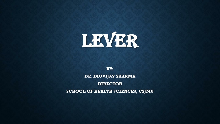 lever lever