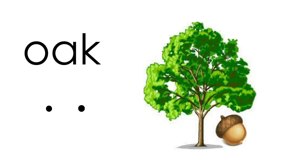 slide12