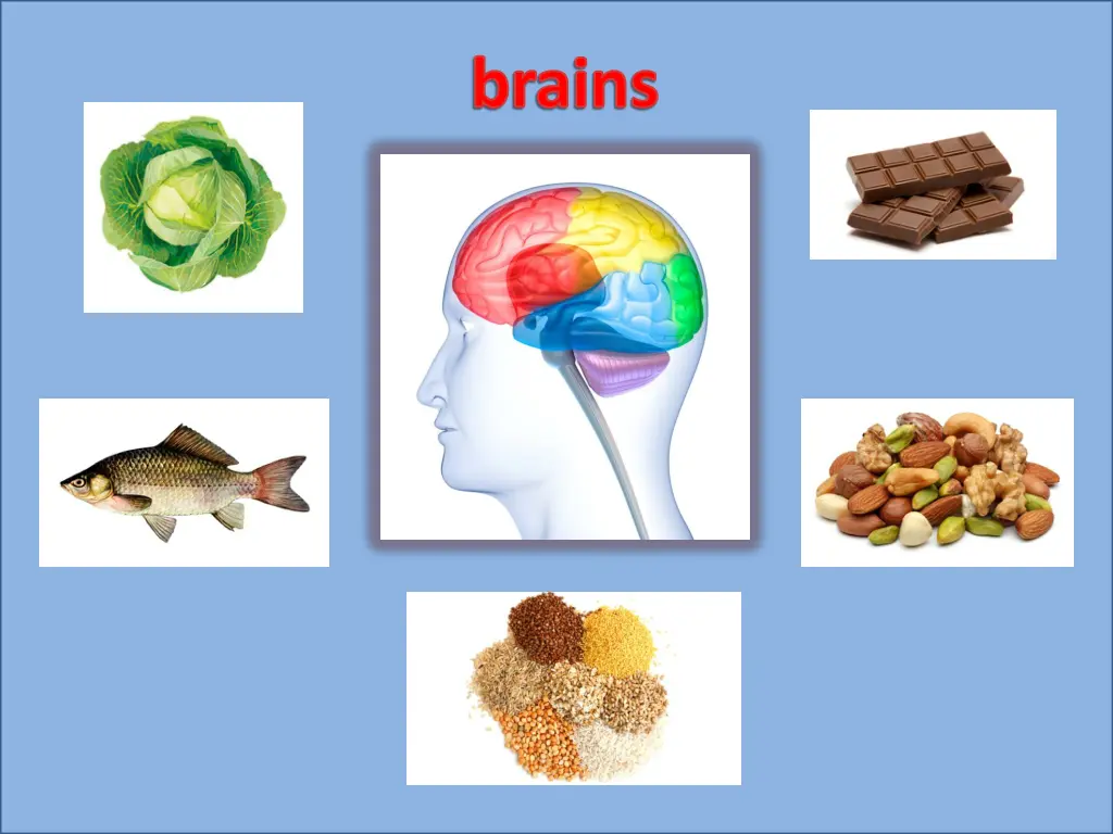 brains