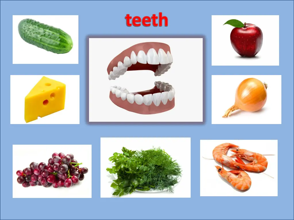 teeth