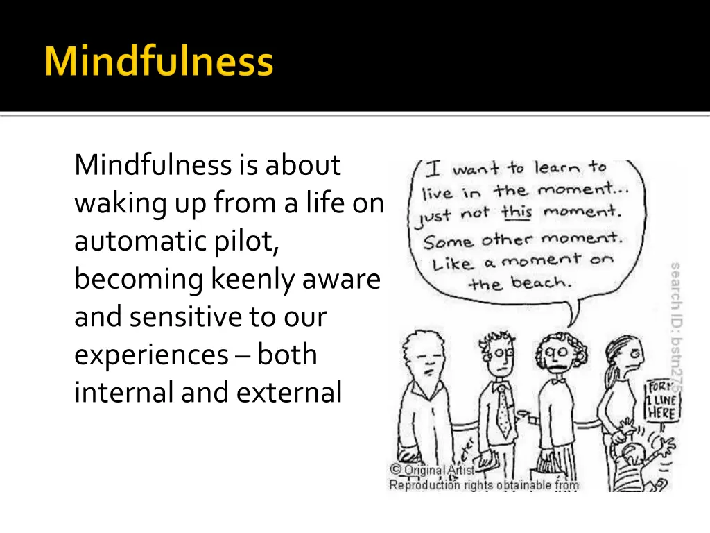mindfulness is about waking up from a life