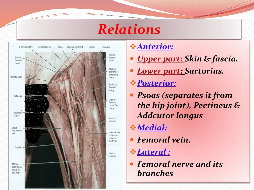relations