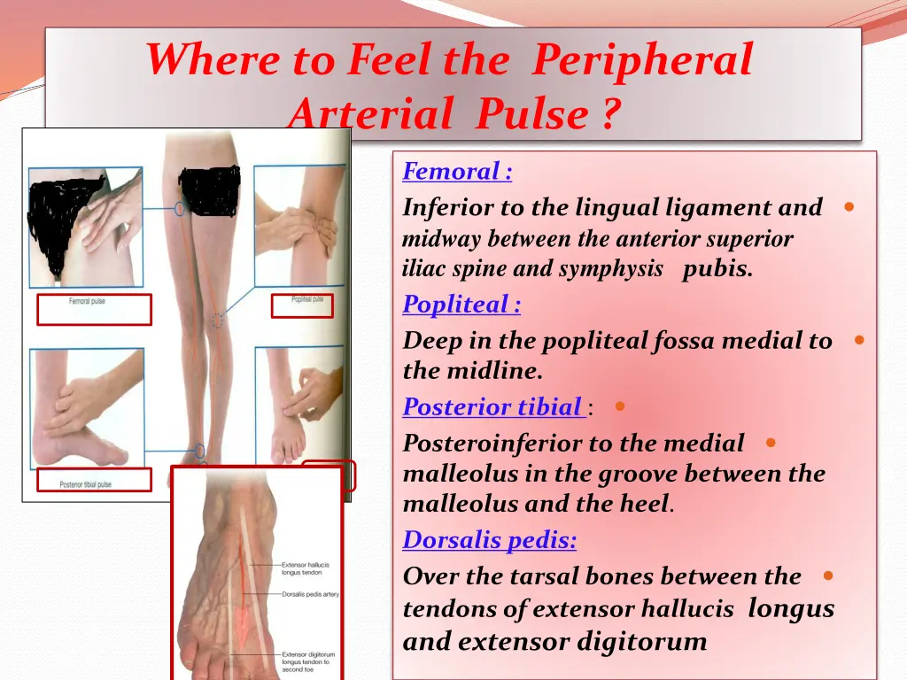 where to feel the peripheral arterial pulse
