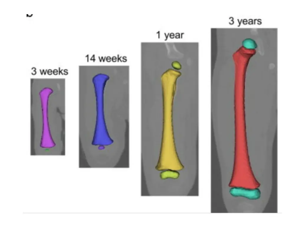 slide16