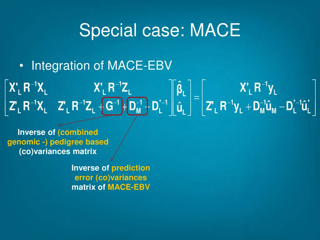 special case mace 3