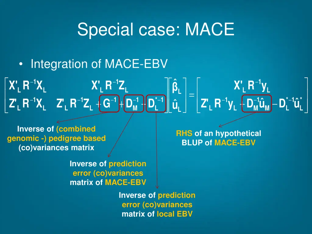 special case mace 5