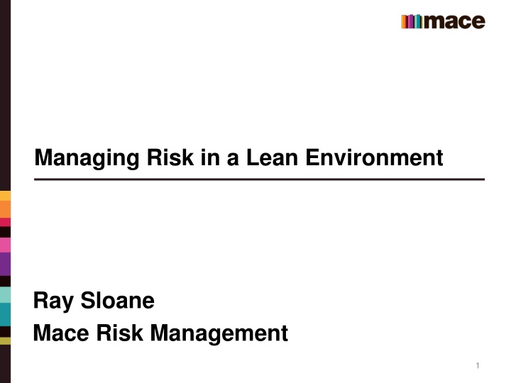 managing risk in a lean environment