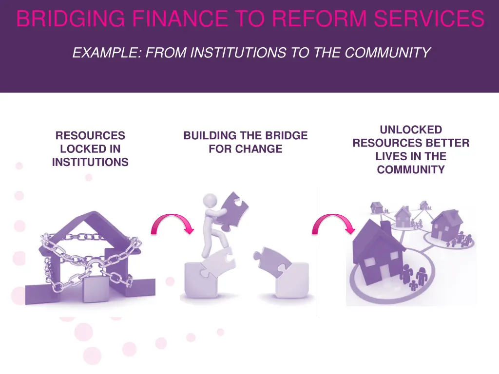 bridging finance to reform services
