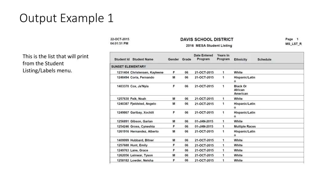 output example 1