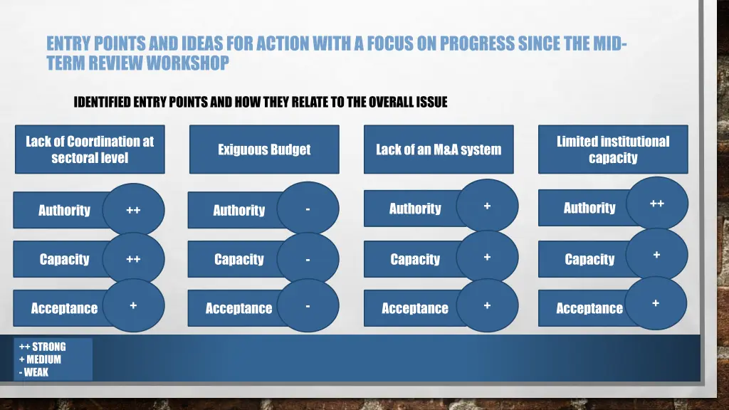 entry points and ideas for action with a focus