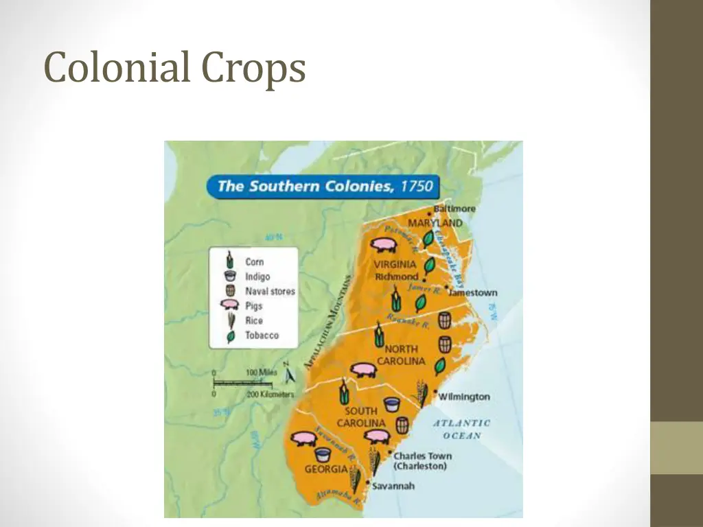 colonial crops