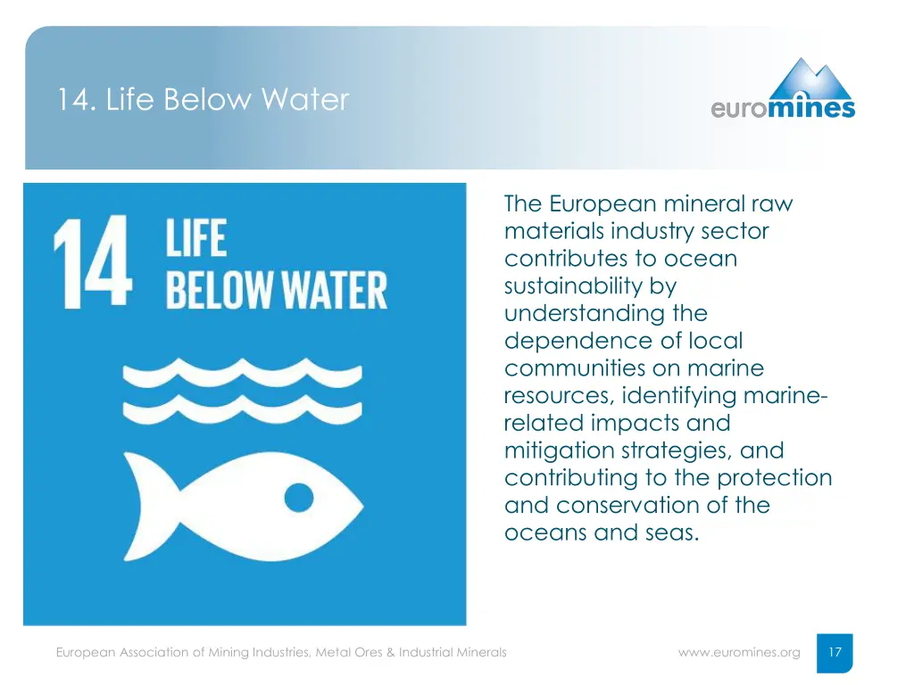 14 life below water