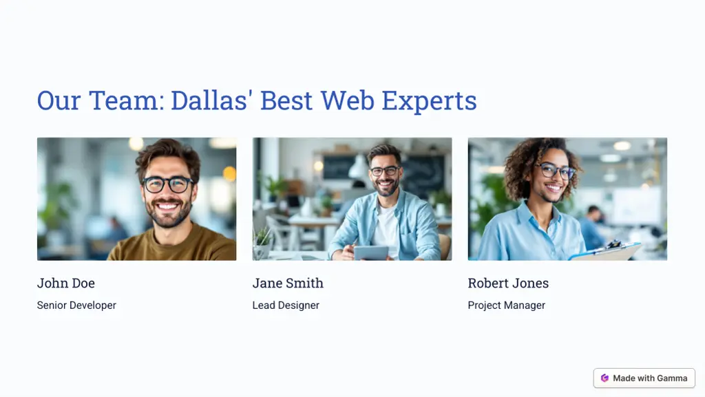 our team dallas best web experts