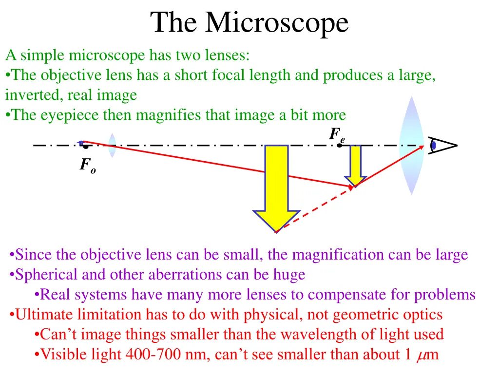 the microscope