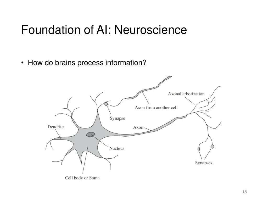 foundation of ai neuroscience