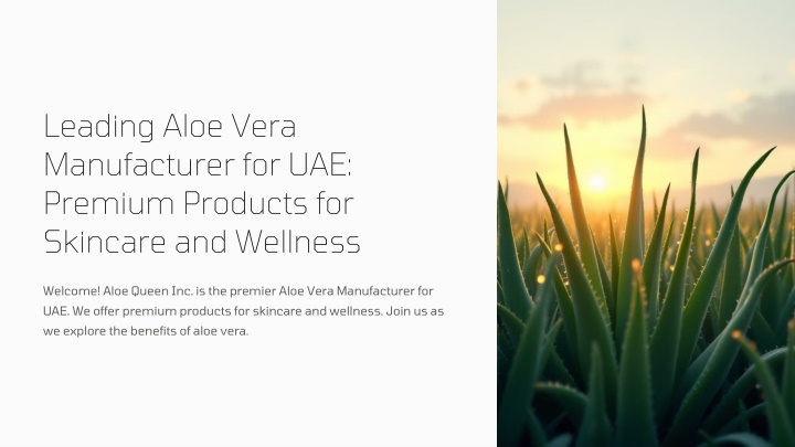 leading aloe vera manufacturer for uae premium