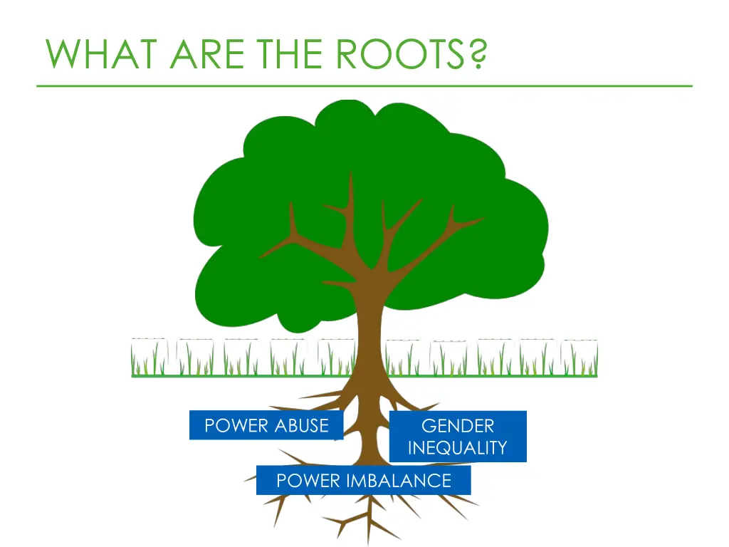 what are the roots