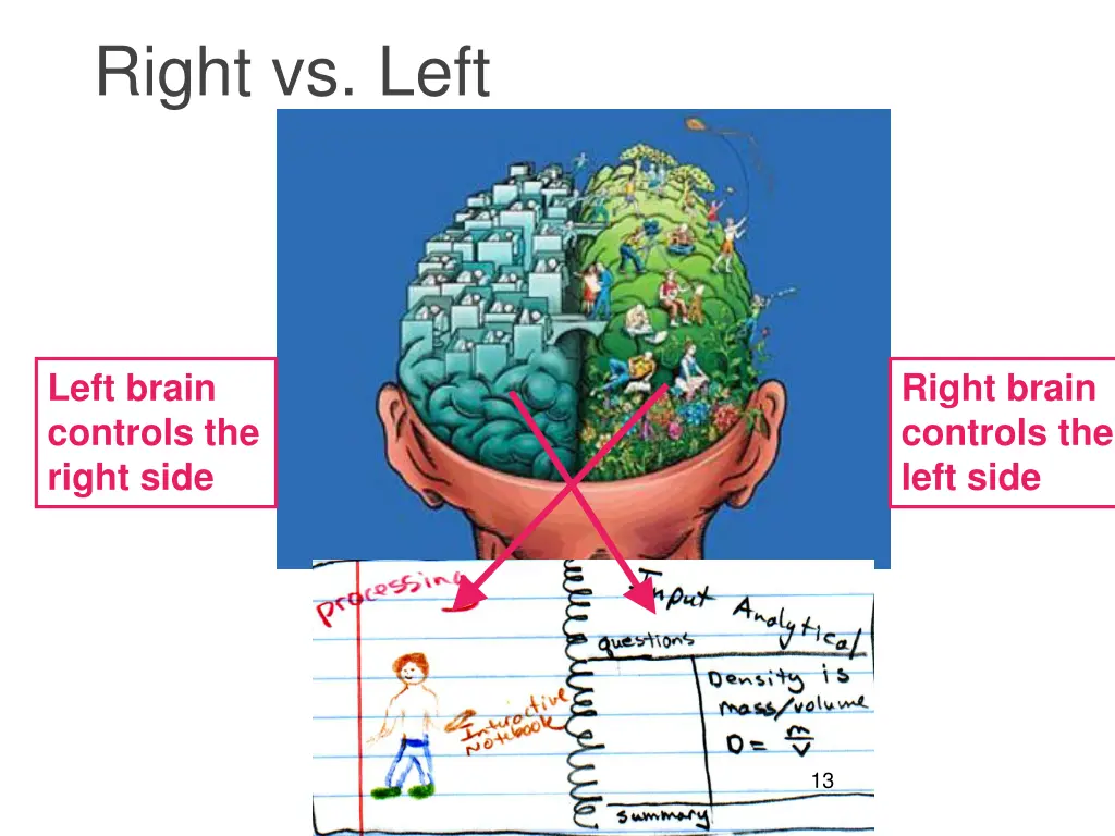 right vs left