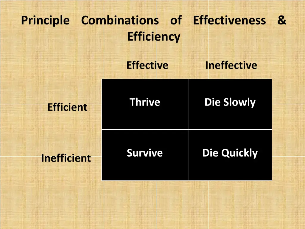 principle combinations of effectiveness efficiency