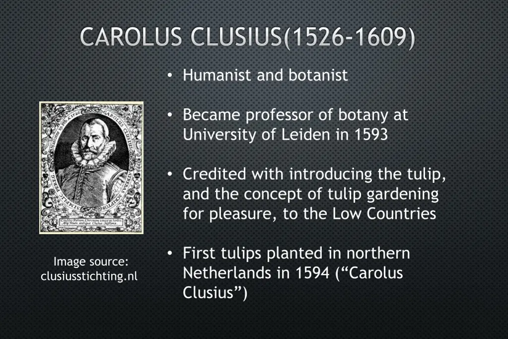 carolus clusius 1526 1609