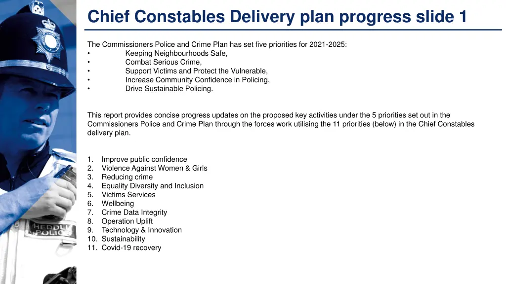 chief constables delivery plan progress slide 1