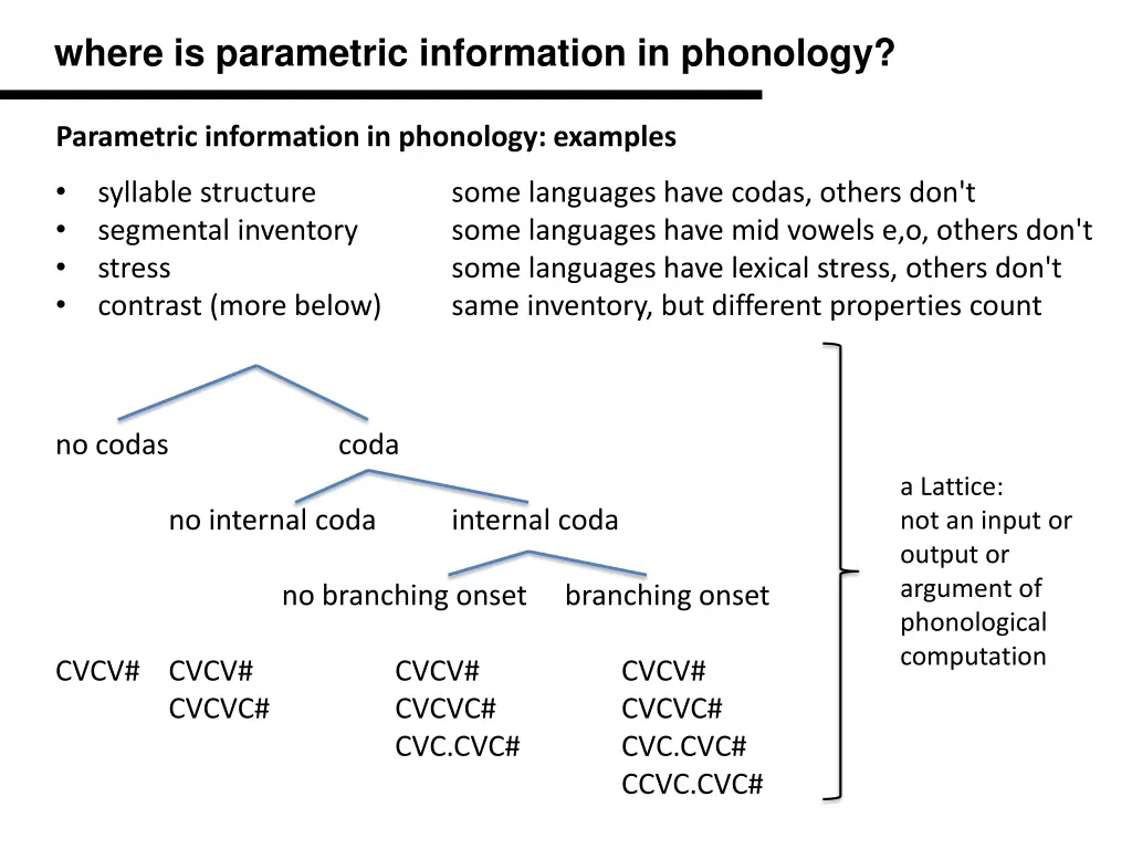 where is parametric information in phonology 1