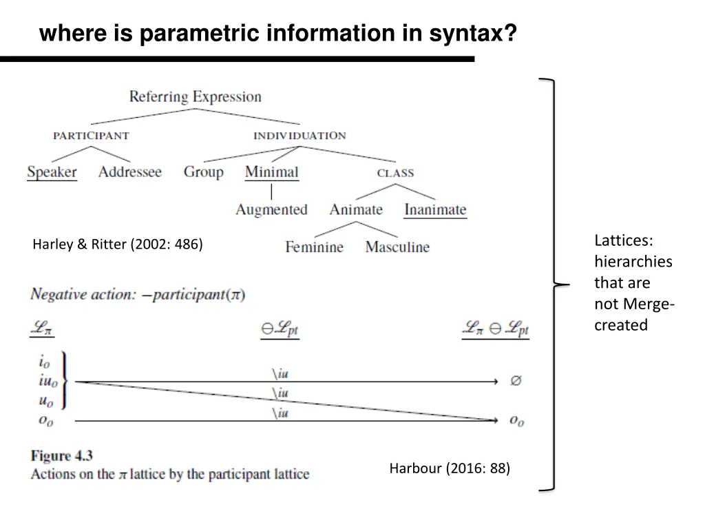 where is parametric information in syntax 3
