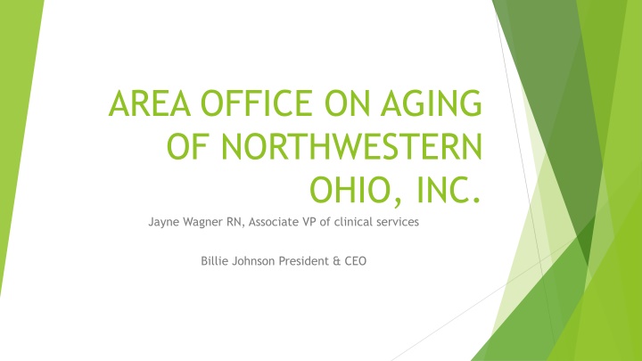 area office on aging of northwestern