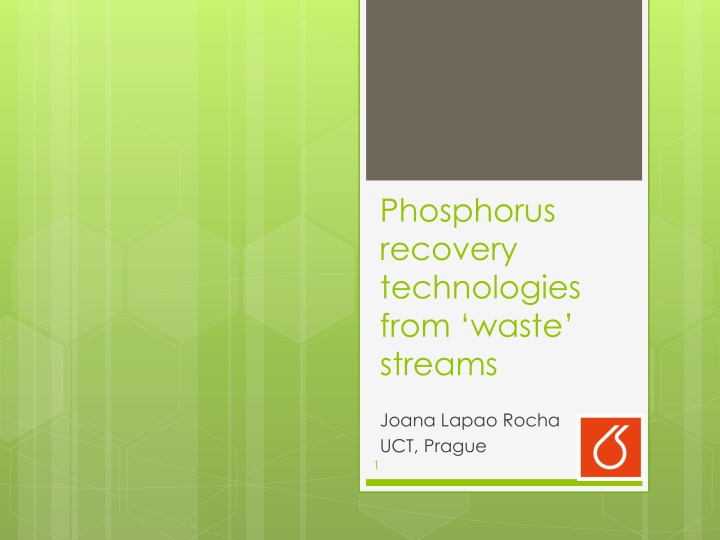 phosphorus recovery technologies from waste