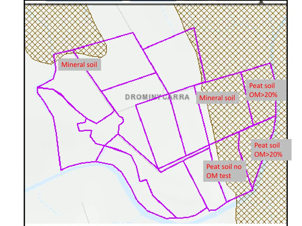 mineral soil