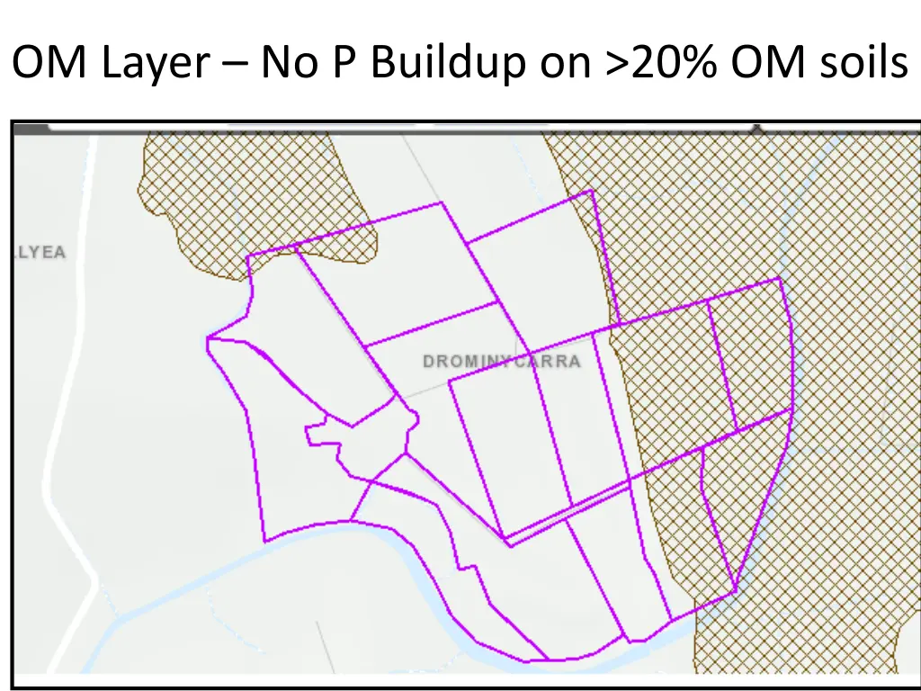 om layer no p buildup on 20 om soils
