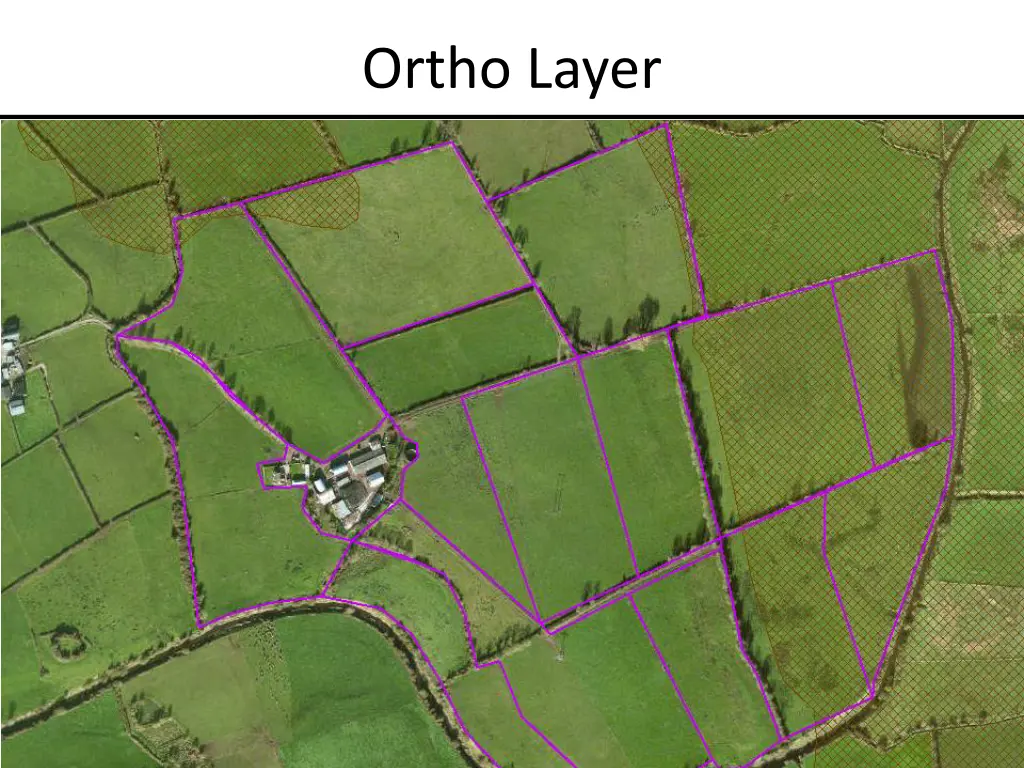 ortho layer