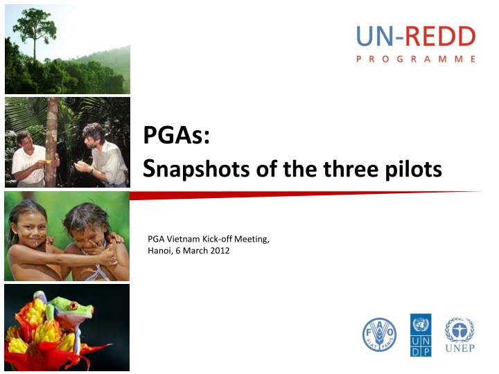 pgas s napshots of the three pilots