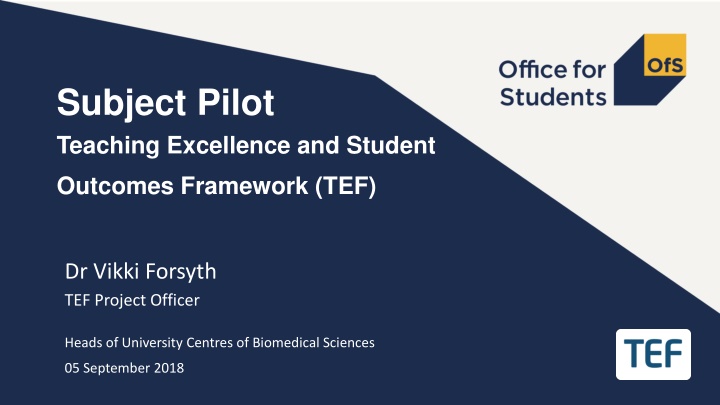 subject pilot teaching excellence and student