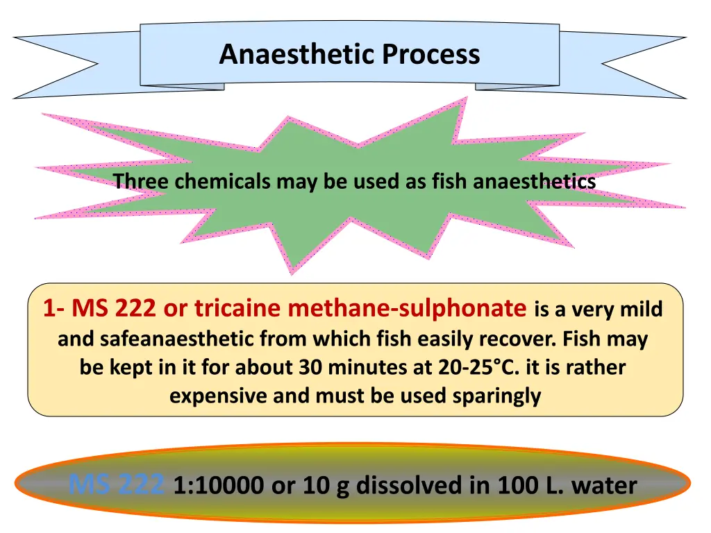 anaesthetic process