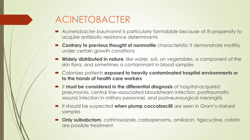 acinetobacter
