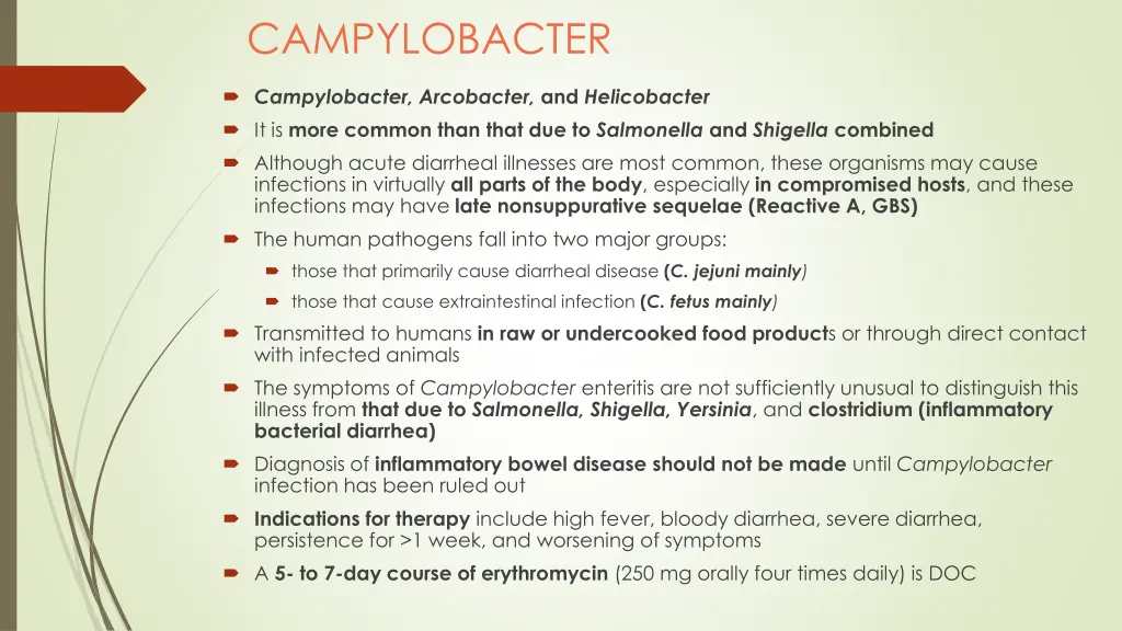 campylobacter
