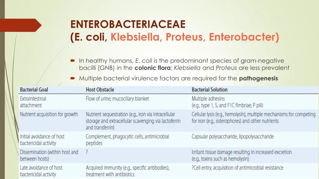 enterobacteriaceae e coli klebsiella proteus