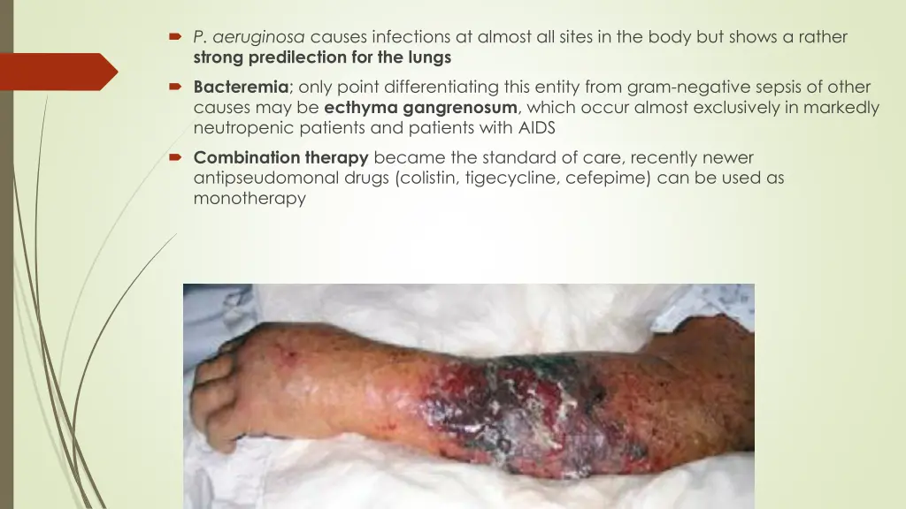 p aeruginosa causes infections at almost