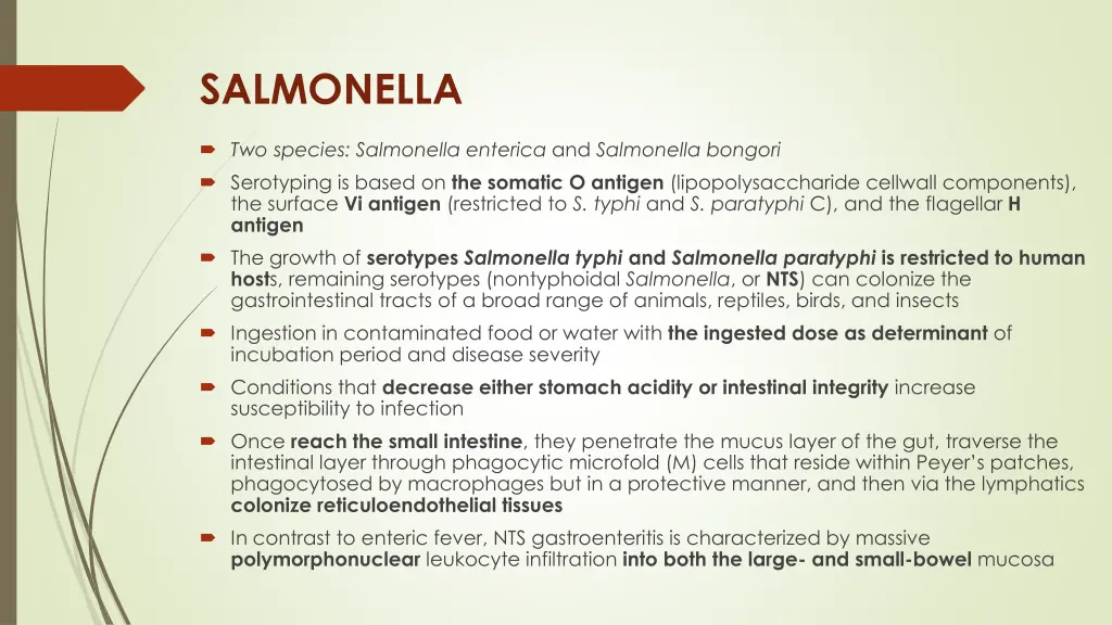 salmonella