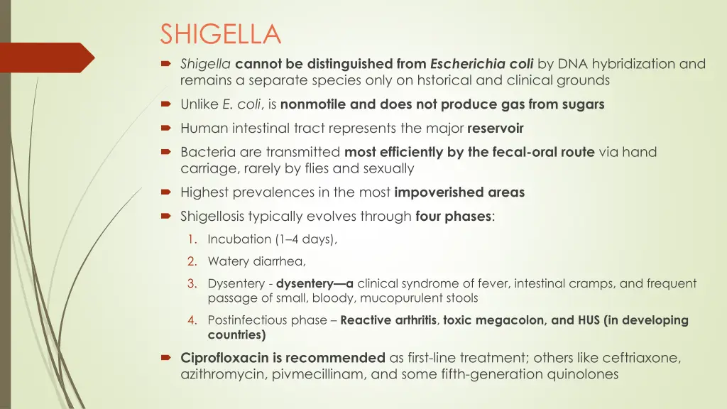 shigella