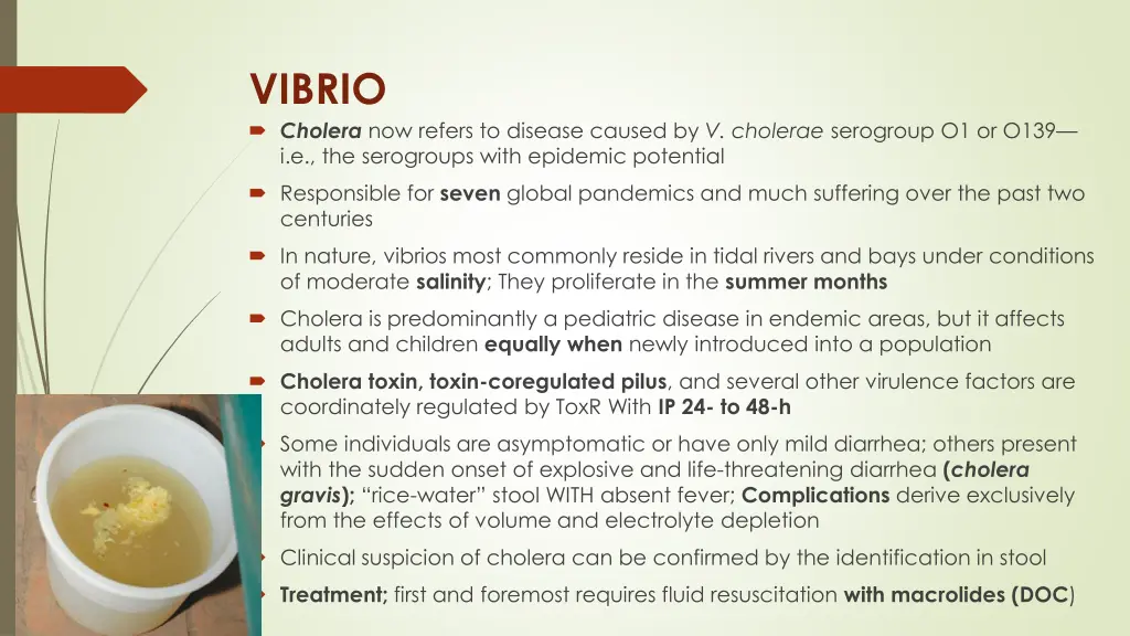 vibrio