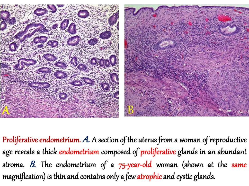 slide9